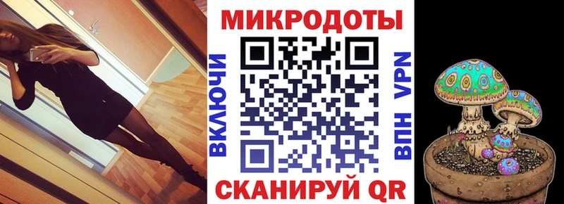 Галлюциногенные грибы Psilocybine cubensis  Ивдель 